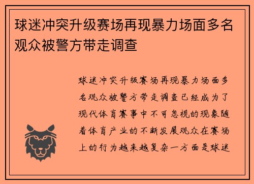 球迷冲突升级赛场再现暴力场面多名观众被警方带走调查