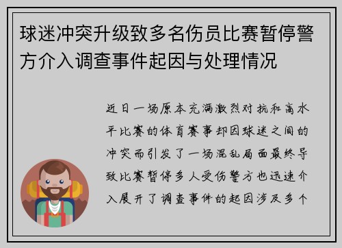 球迷冲突升级致多名伤员比赛暂停警方介入调查事件起因与处理情况